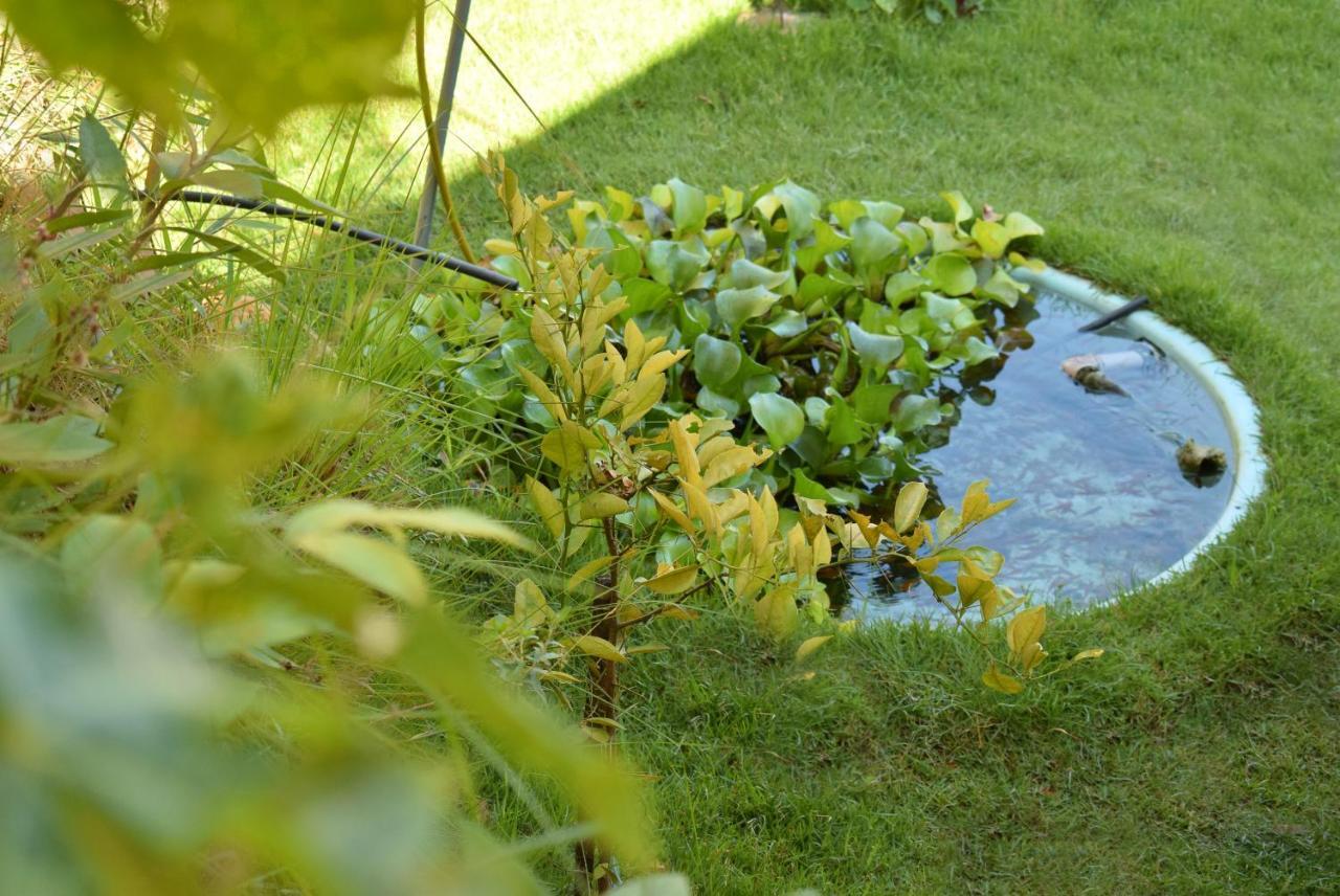 Colonetti Inn Lindoia